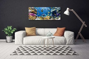 Duży obraz na płótnie Kolorowa Rafa Koralowa