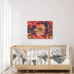 Obraz - Chryzantemy (70x50 cm)