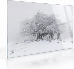 Obraz na szkle - Biała zima (70x50 cm)