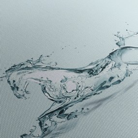 Obraz - Konie z kropli wody (125x70 cm)