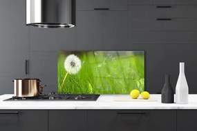 Szkło do Kuchni na Ścianę Lekkość Lata: Dmuchawiec