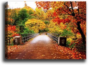 Obraz Tablo Center Autumn Bridge, 70x50 cm