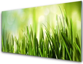 Panel nad blat kuchenny Soczysta Zielona Trawa