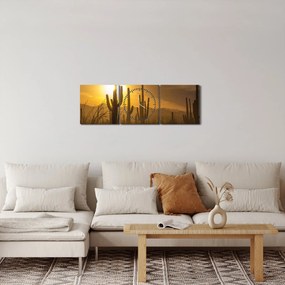 Obraz - Kaktusy Saguaro (z zegarem) (90x30 cm)