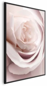 Plakat Porcelanowa róża 29,7x42 cm z ramą czarną bez marginesu ARTGEIST B