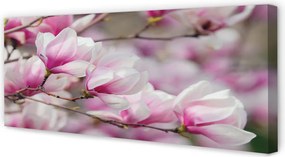 Zdjęcie na płótnie Kwitnące Drzewa