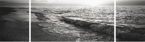 Obraz - Na brzegu morza (170x50 cm)