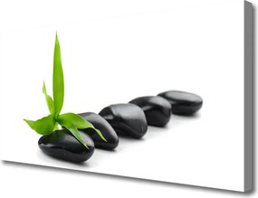 Zdjęcie na płótnie Kompozycja Kamienia i Liścia