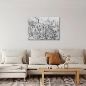 Obraz - Mroźna zima (70x50 cm)