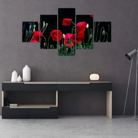 Obraz - Taniec maków (125x70 cm)