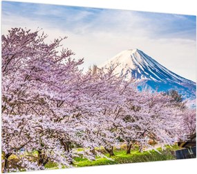 Obraz na szkle - Japonia wiosną (70x50 cm)