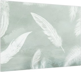 Obraz na szkle - Białe pióra (70x50 cm)