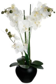 Sztuczny storczyk w czarnej doniczce, 50 cm