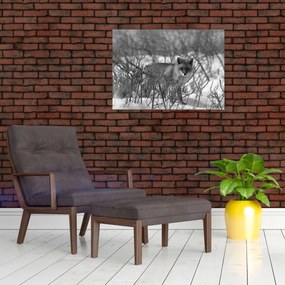 Obraz - Lis w zimie (70x50 cm)