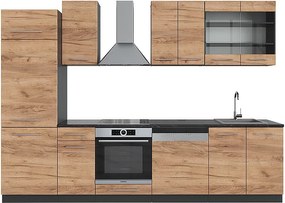 Aneks kuchenny złoty dąb power/antracyt 300x46x81.6 fame-line