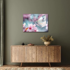 Obraz - Motyl na drzewie wiśni (70x50 cm)