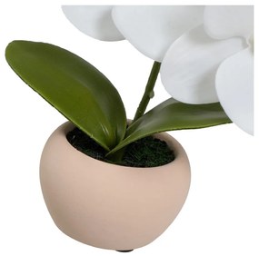 Sztuczne rośliny zestaw 3 szt. (wysokość 15 cm) Orchid – Casa Selección