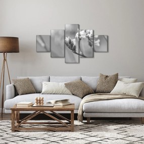 Obraz - Kwitnący kwiat (125x70 cm)