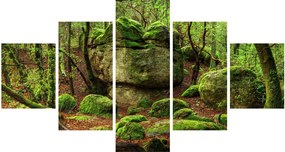 Obraz magicznego lasu (125x70 cm)