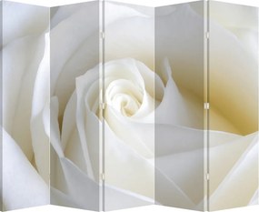 Parawan - Biała róża (210x170 cm)