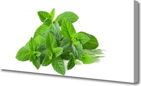 Obraz canvas Świeżość Liści Mięty