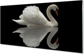 Szkło do Kuchni na Ścianę Łabędź w Blasku Nocy