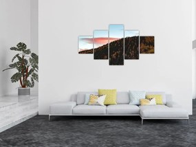Obraz rudzików nad wzgórzem (125x70 cm)