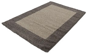 Brązowy dywan 200x290 cm Life – Ayyildiz Carpets