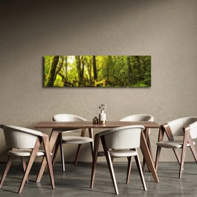 Obraz omszałej dżungli (170x50 cm)