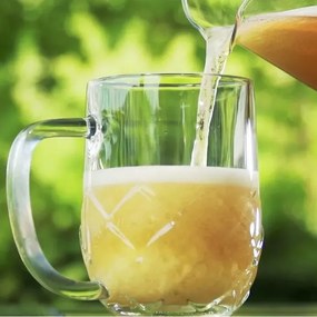 Tescoma Kufel na piwo myBEER Lupulus, 0,5 l, 0,5 l
