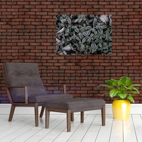 Obraz - Zamrożone rośliny (70x50 cm)