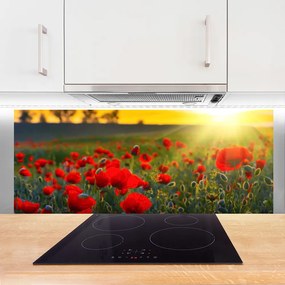 Panel Szklany Łąka Maki Roślina Natura