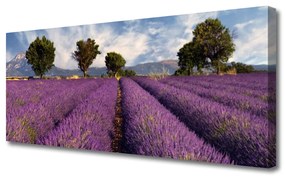 Obraz Canvas Łąka Drzewa Przyroda