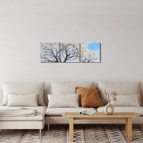 Obraz drzew (z zegarem) (90x30 cm)