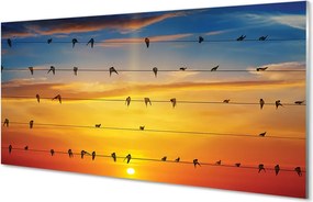 Panel Szklany Ptaki na Drutach o Zmierzchu