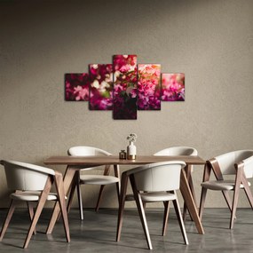 Obraz kwiatów malwy (125x70 cm)