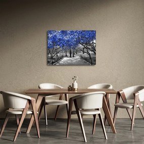 Obraz - Niebieskie drzewa, Central Park, New York (70x50 cm)