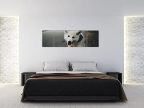 Obraz białego psa (170x50 cm)