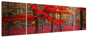 Obraz - Czerwony Las (170x50 cm)