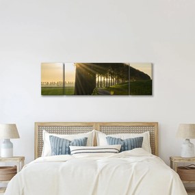 Obraz alei (170x50 cm)