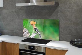 Panel szklany do Kuchni Papuga w Sercu Dżungli