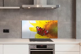 Panel Szklany Motyl na tle Słonecznika