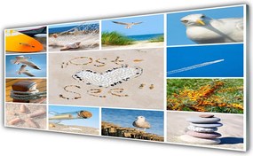 Panel Szklany Mewy Nad Brzegiem Oceanu