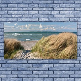Obraz Szklany Plaża Morze Trawa Krajobraz