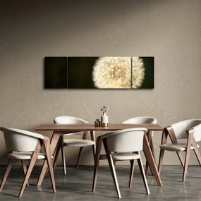 Obraz szarego dmuchawca (170x50 cm)