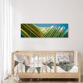 Obraz - Detal liścia palmowego (170x50 cm)