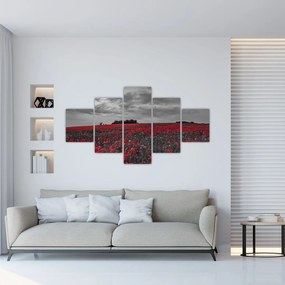 Obraz maków (125x70 cm)