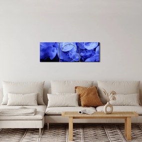 Obraz - Meduzy (z zegarem) (90x30 cm)