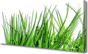 Obraz canvas na ścianę Naturalny Motyw Trawy