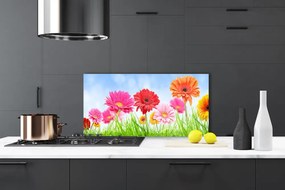 Panel Kuchenny Kwiaty Wśród Polnej Trawy